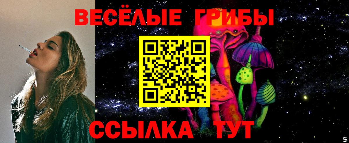 Орехово-Зуево  Галлюциногенные грибы GOLDEN TEACHER  Вход с VPN 